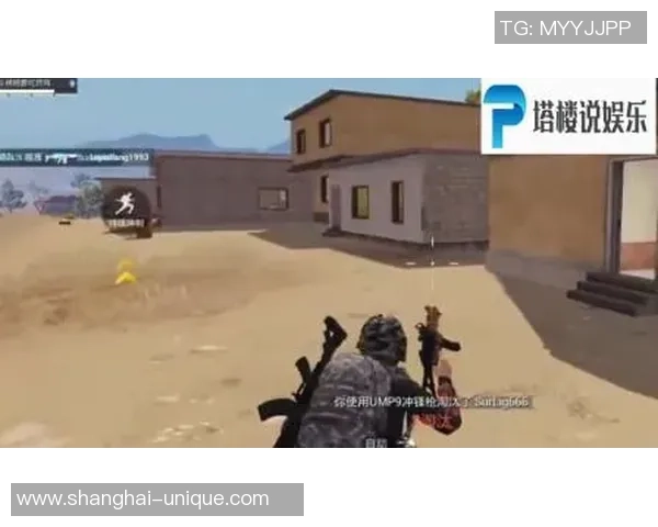 和平精英赛事揭秘：IG战队的成功经验与策略分享